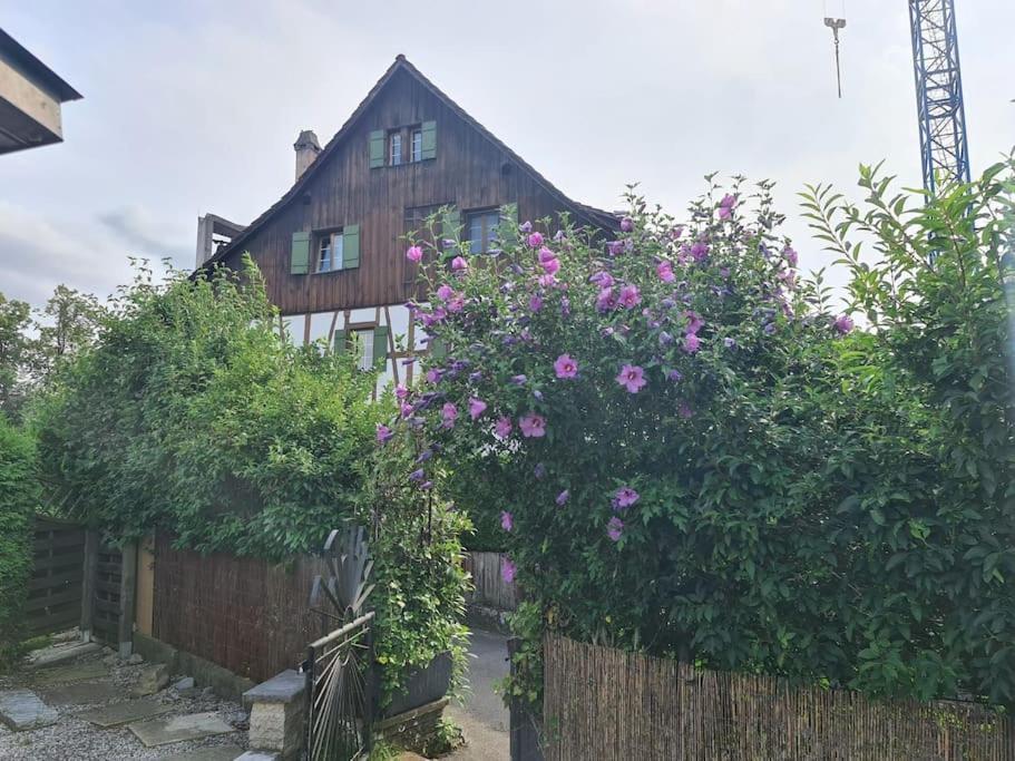3 Bedroom Swiss House On 3 Floors Oberglatt 外观 照片