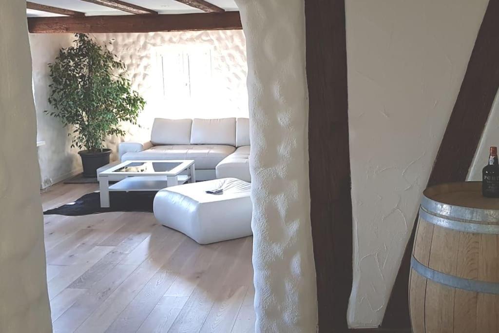 3 Bedroom Swiss House On 3 Floors Oberglatt 外观 照片